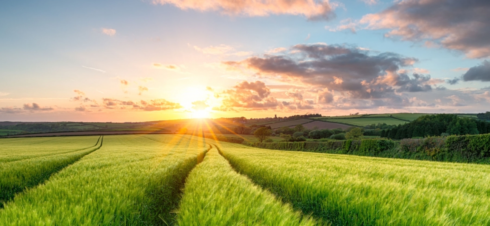 Durys mindetter qoıyldy