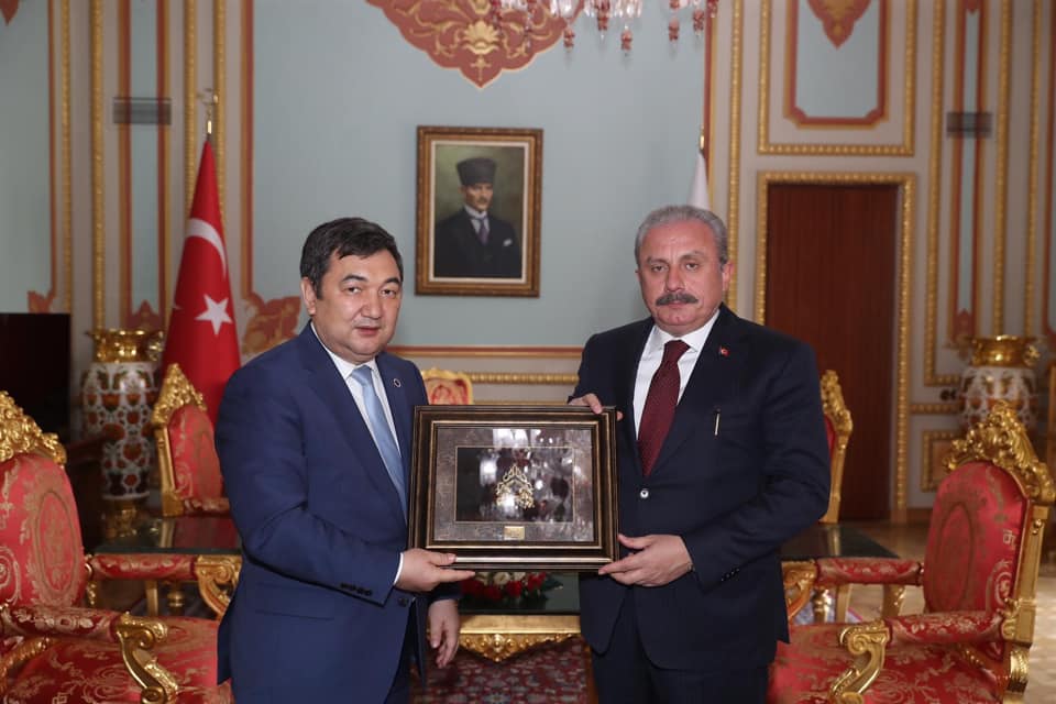 Túrki akademııasynyń prezıdenti Mustafa Shentoppen kezdesti