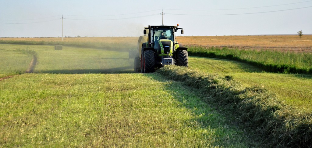 Aýyldy órkendetýdiń jaýapty kezeńi týdy
