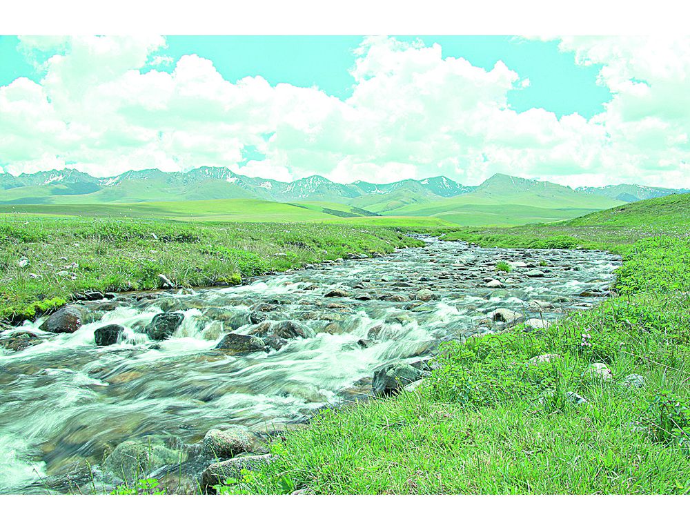 Kókjıde jerasty sýlaryn saqtap qalý qajet