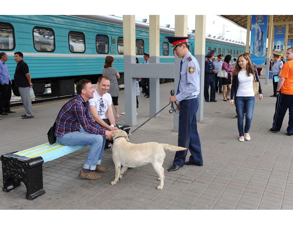 Úsh qap altyn tamyr