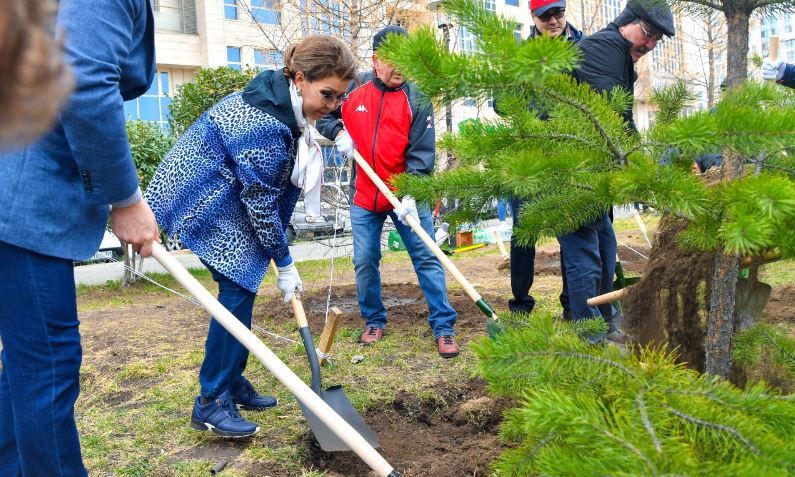 Senatorlar senbilikke shyqty