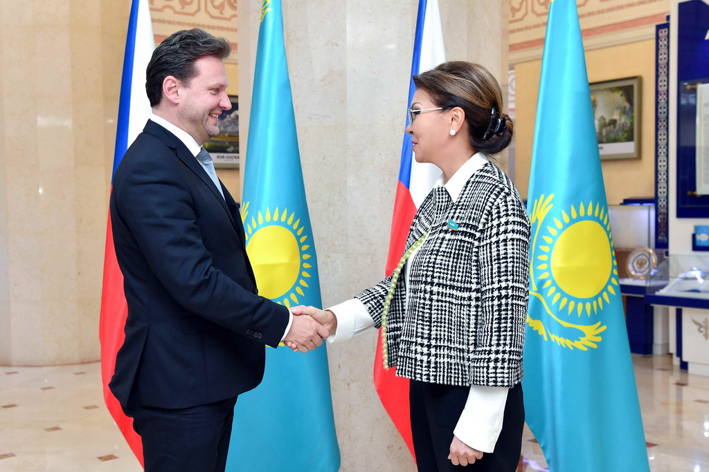 D.Nazarbaeva Chehııa Parlamenti Depýtattar palatasynyń tóraǵasymen kezdesti