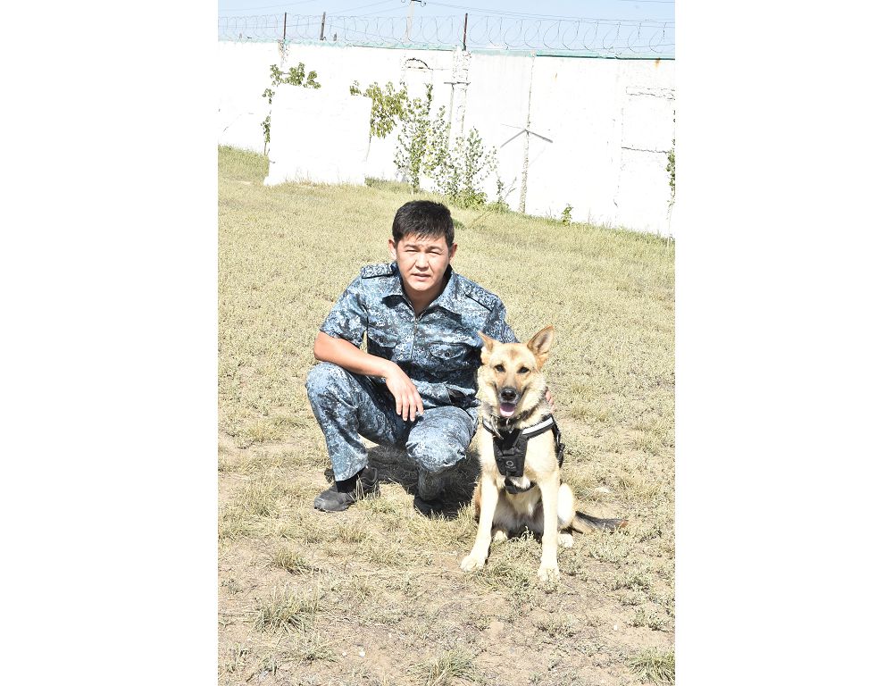Aqtóbede jyl bastalǵaly kınologtardyń kómegimen 270 qylmys ashylǵan