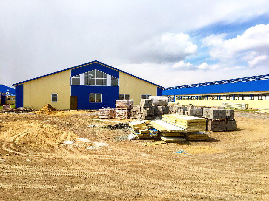 Pavlodar oblysynda  28 taýarly sút fermasy jumys isteıdi