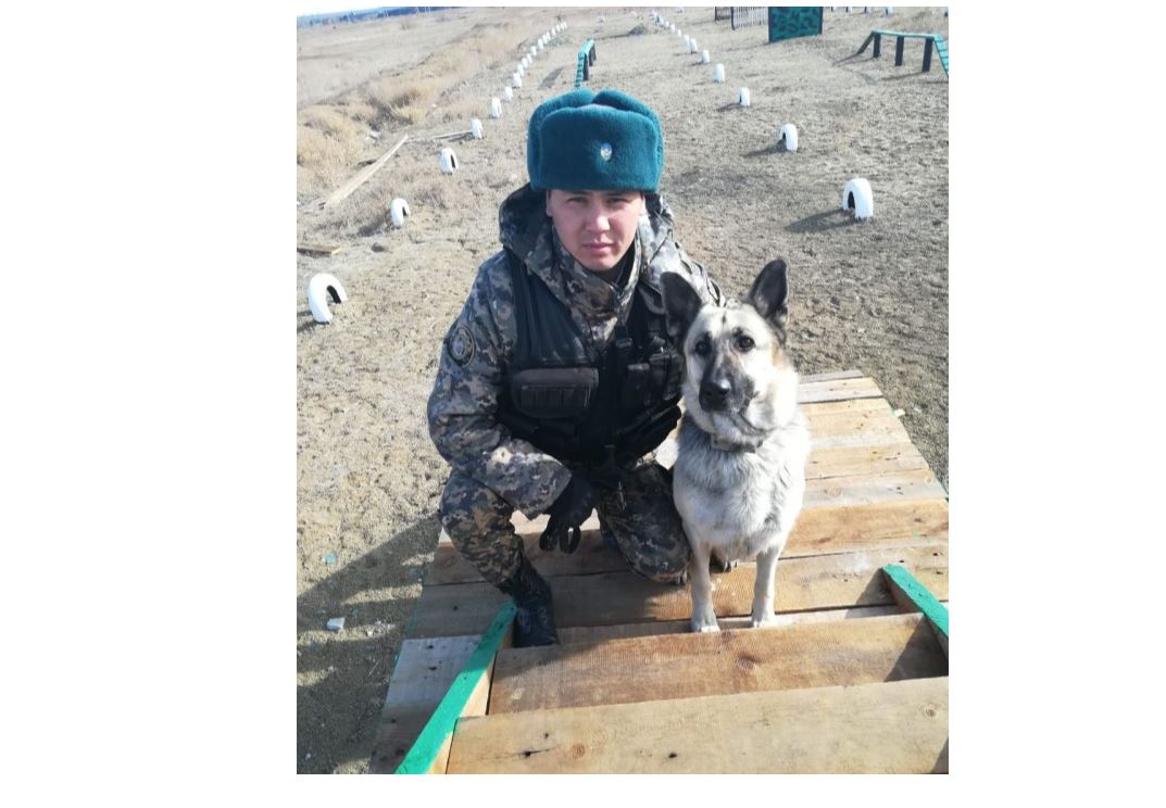 Jezqazǵanda ıttiń kómegimen adam óltirgen kúdikti qolǵa tústi