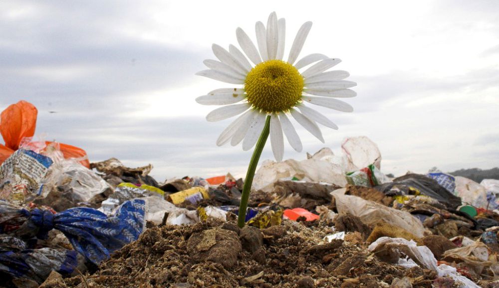 Tarbaǵataı ulttyq parkindegi ormandy saqtaı bileıik