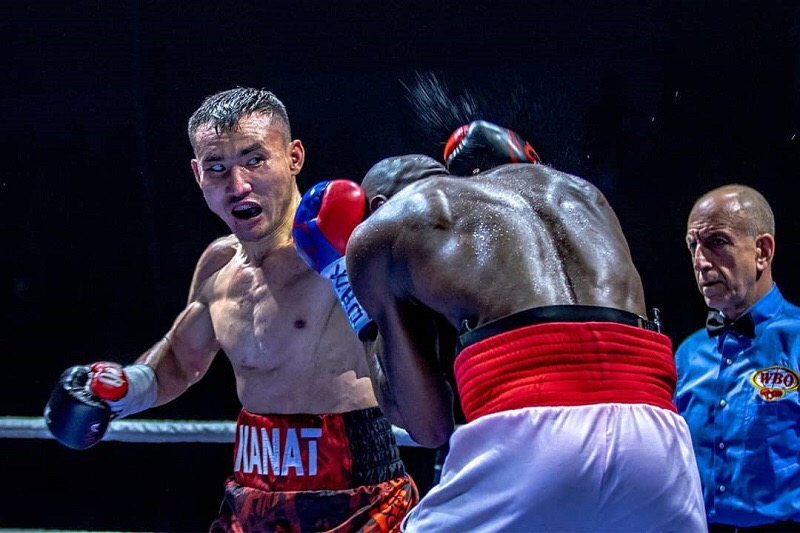 Kásipqoı boks: Altyn belbeý Qanat Islamda qaldy