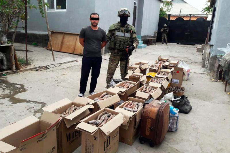 Prezıdent: Qaskóıler zańǵa sáıkes qatań jazaǵa tartylýy tıis