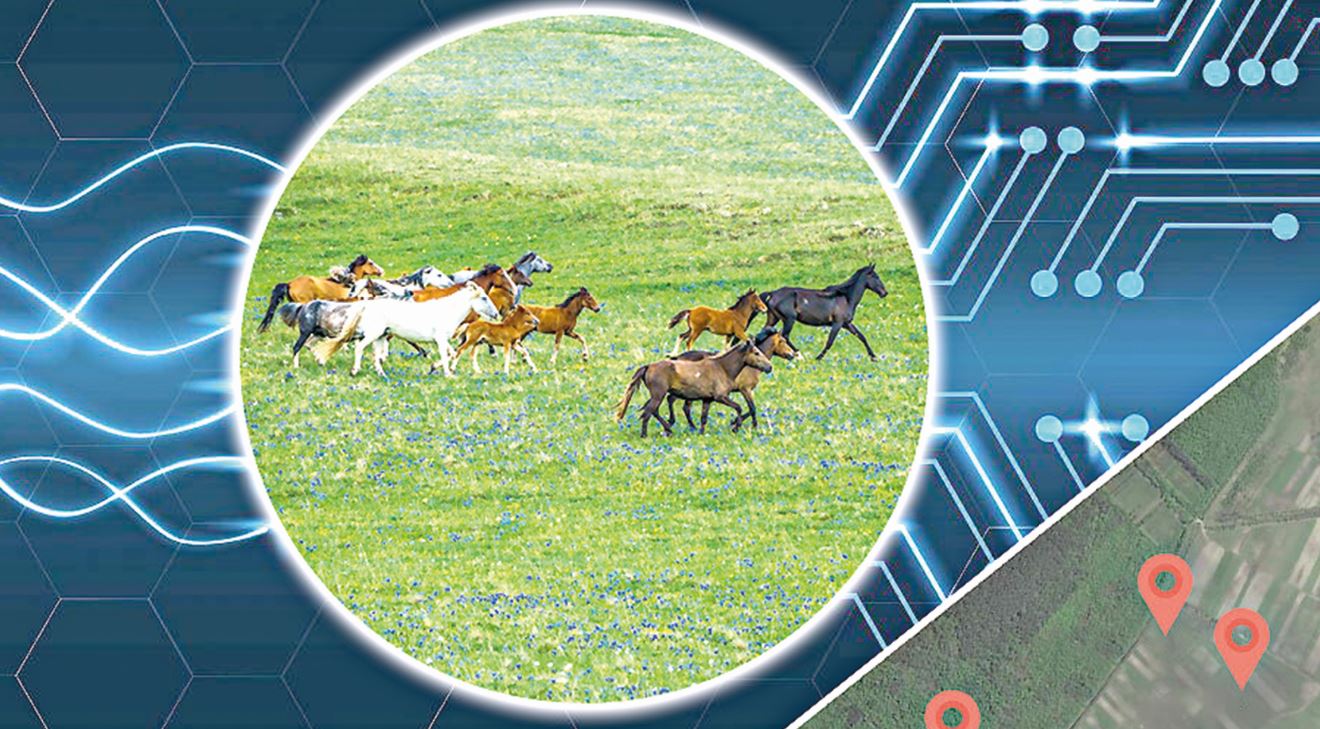 Damýdy oılaǵandar sıfrlandyrýǵa bet burady