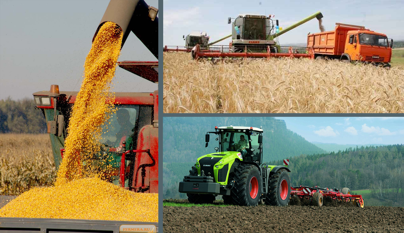 «Jeti myń gektar jerge egin ektim...»