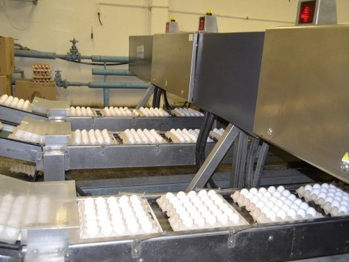 Soltústik Qazaqstanda 75 myń shójege arnalǵan jańa korpýs iske qosyldy