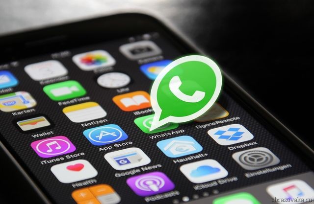 WhatsApp: kúmándi toptarǵa kirgender buǵattalady