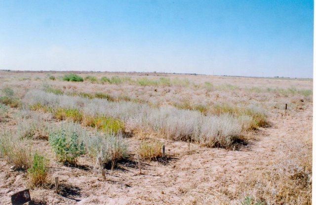 Sortań jer sharýashylyq sory