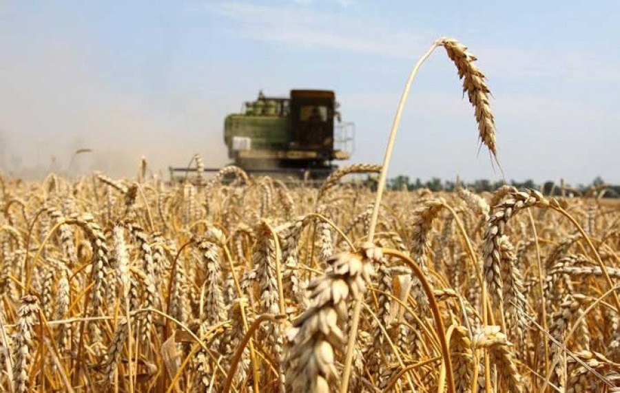 Altyn astyq qambaǵa tolyq quıyldy