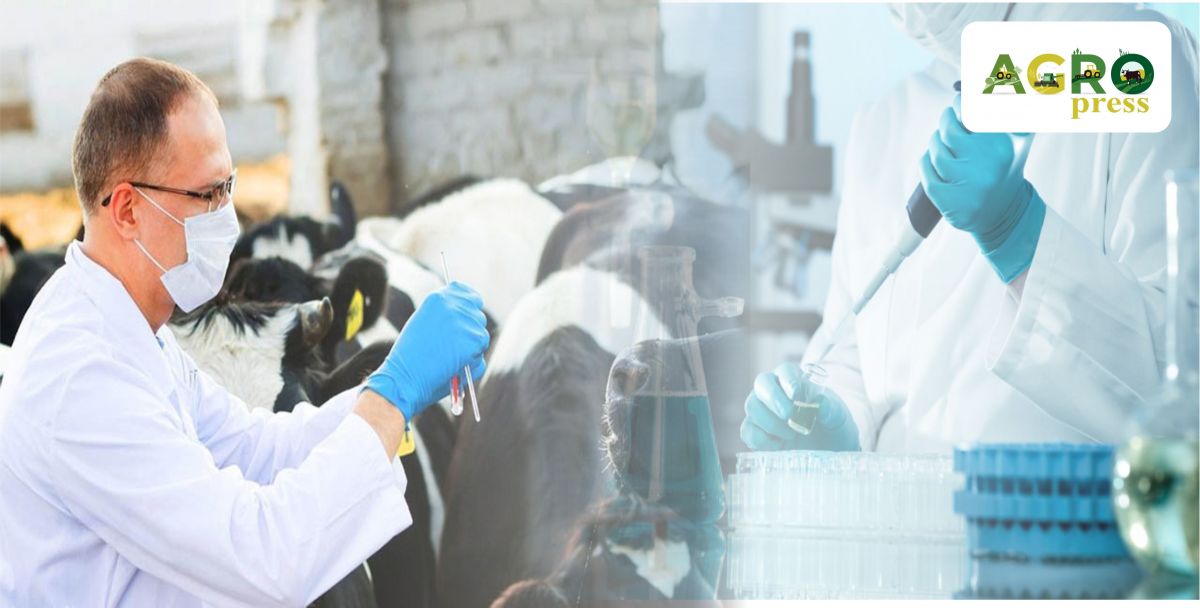 AShM: Veterınarlyq tekseris eskertýsiz júrgiziledi