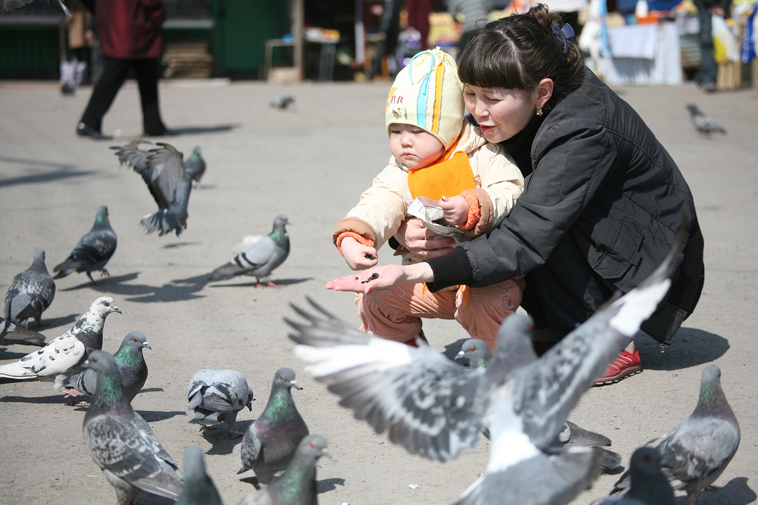 Qorgau jobasy azamattarǵa qolushyn sozady