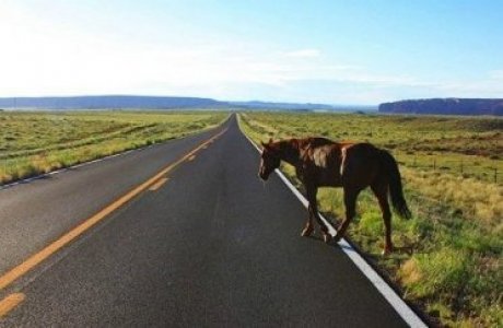 Jol ústinde qater kóp