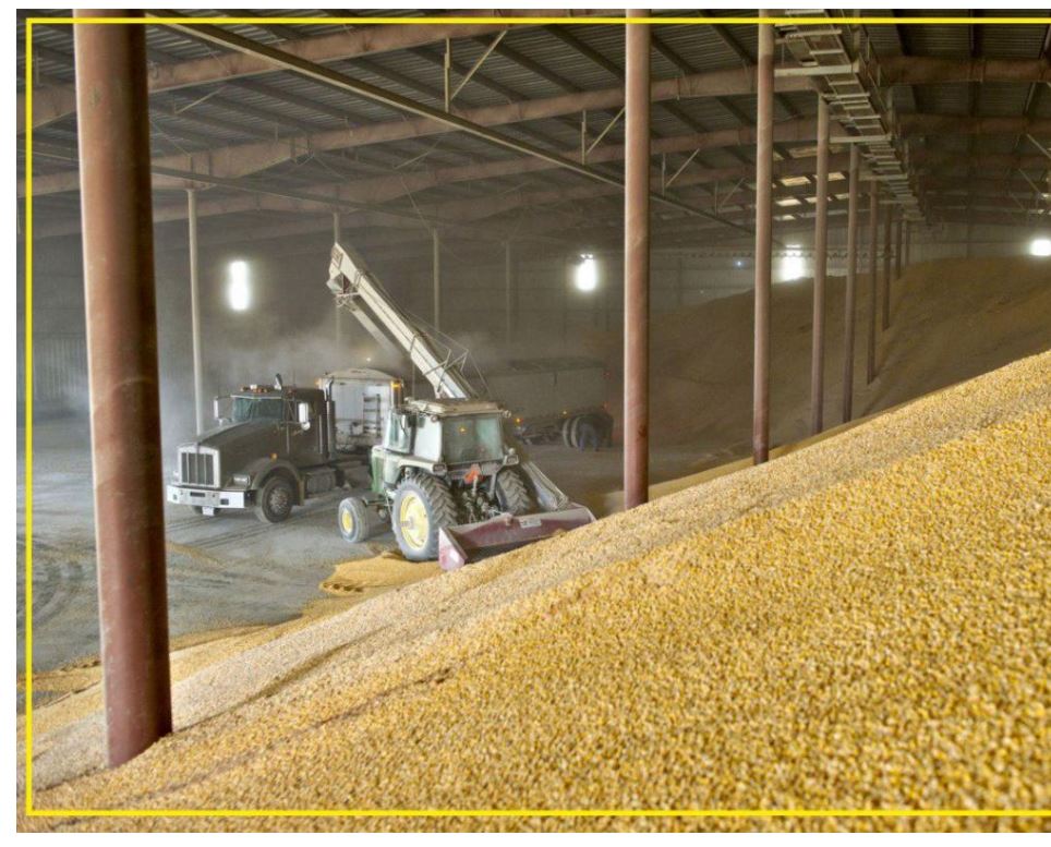 Qazaqstan memlekettik rezervke 350 myń tonna bıdaı satyp aldy