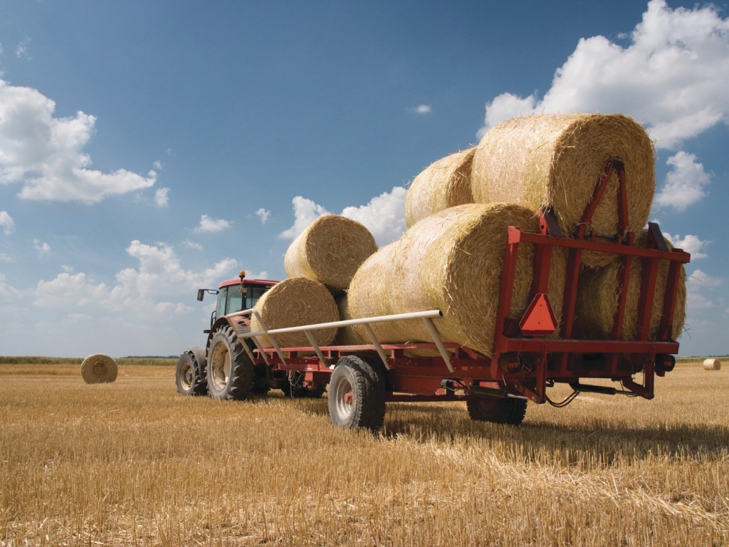 Eńbekqorlar el ishinde