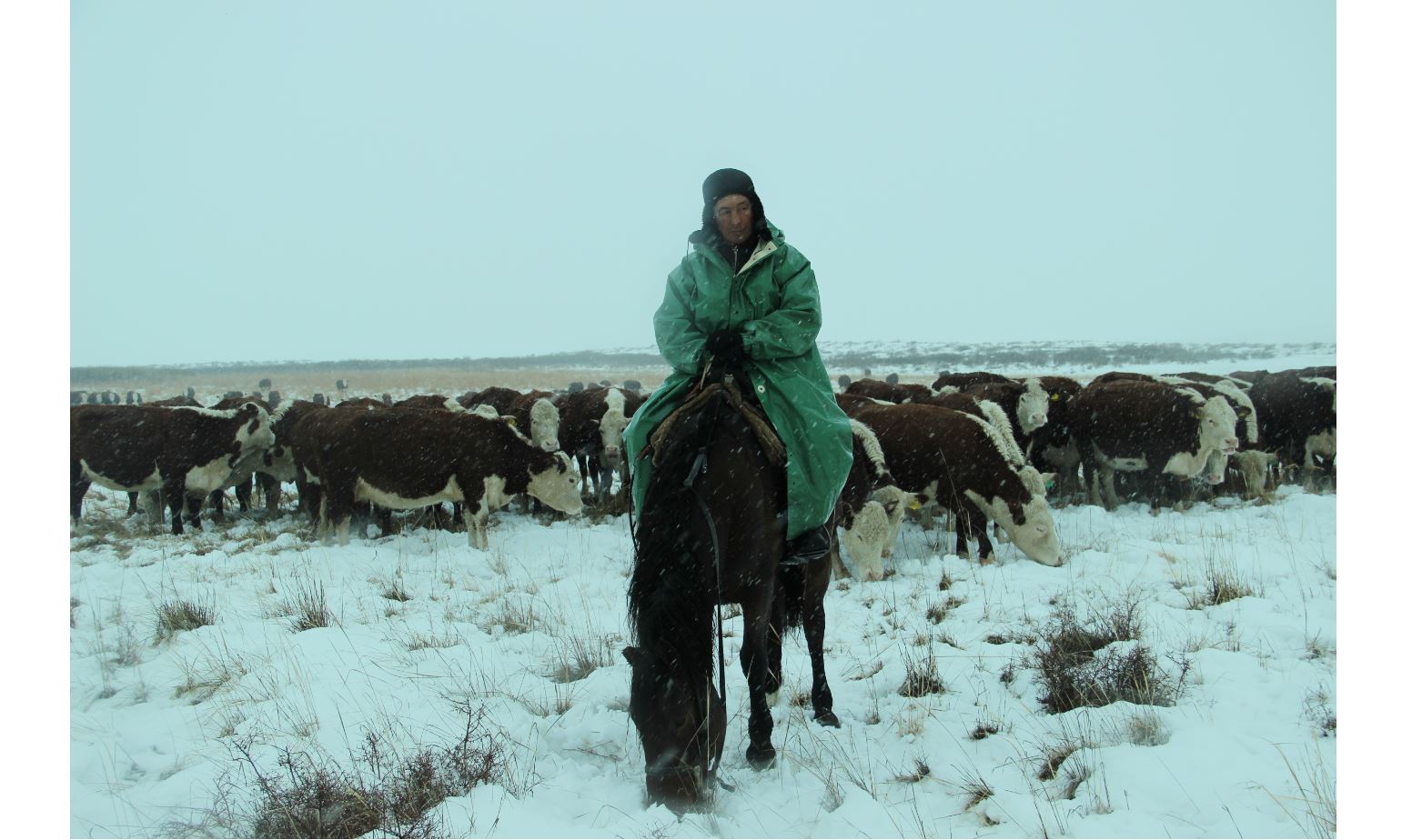 Nesıe alyp, nesibesin arttyrǵan otbasy