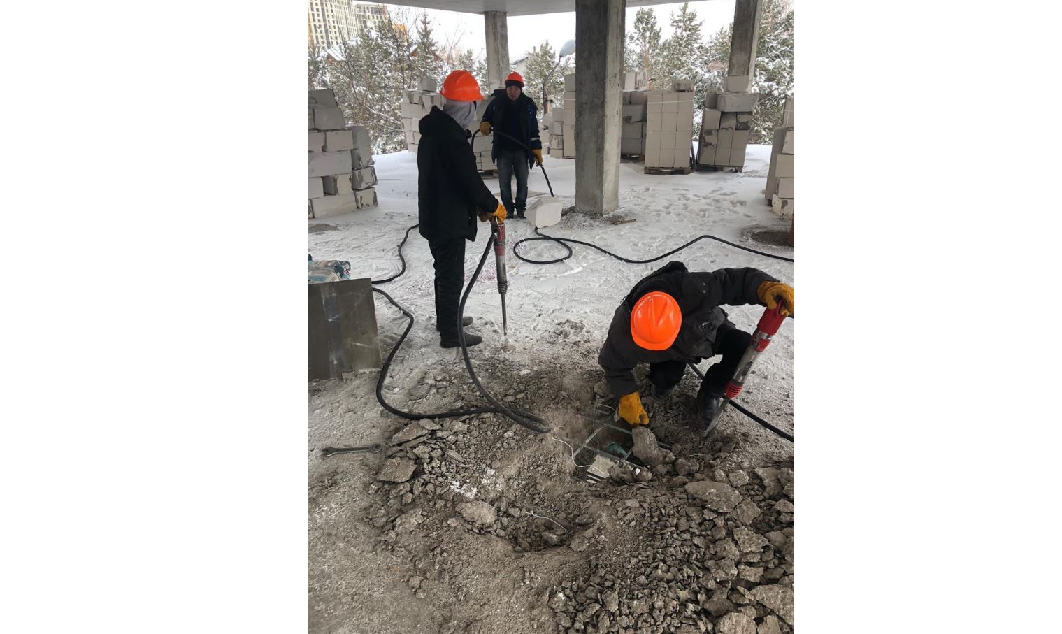 Elordada zańsyz salynǵan nysandar súriletin bolady