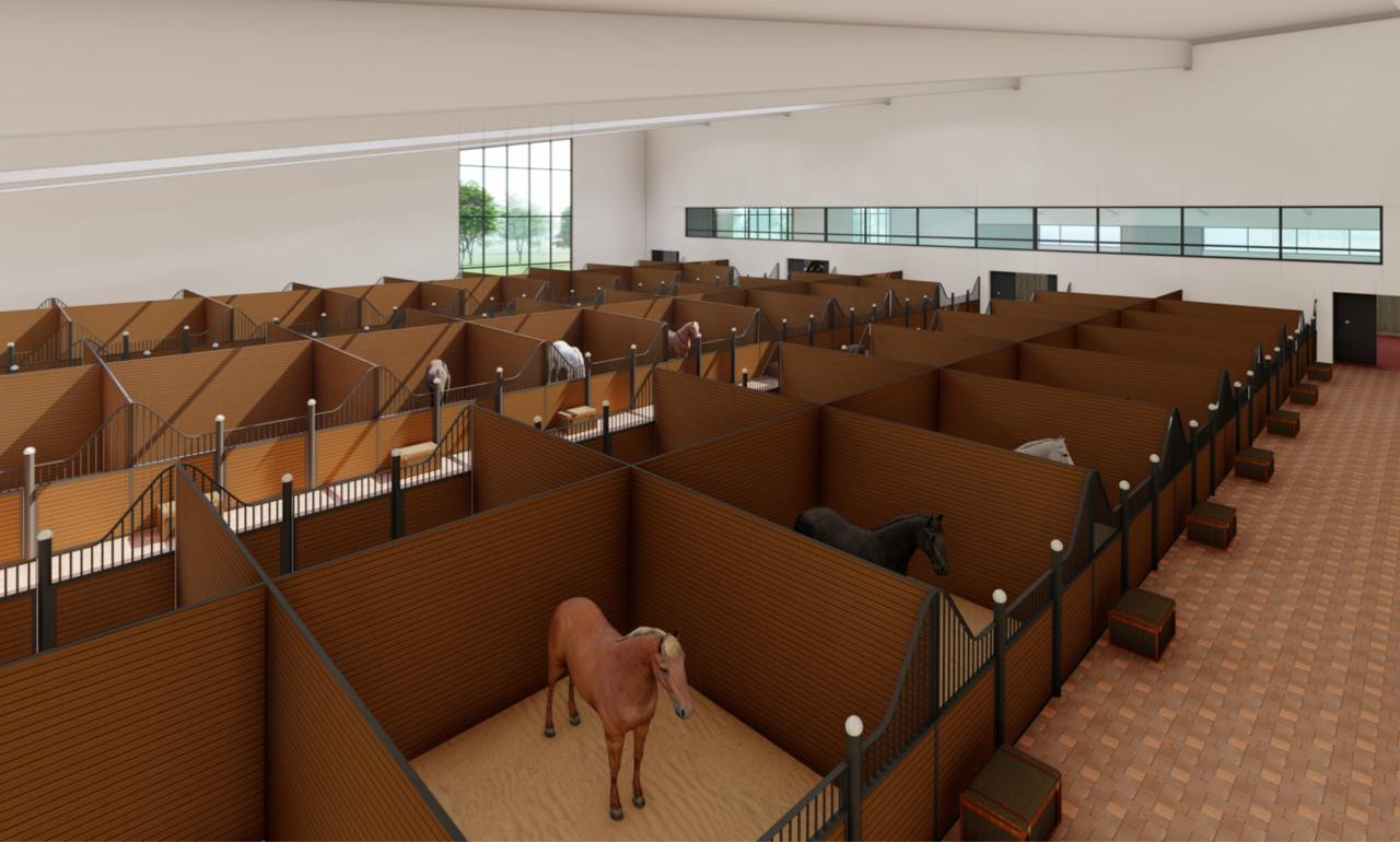 Elordada ıppoterapııamen aınalysý úshin jabyq manej salynady