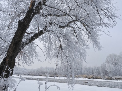 Demalys jáne mereke kúnderi aýa raıy qandaı bolady