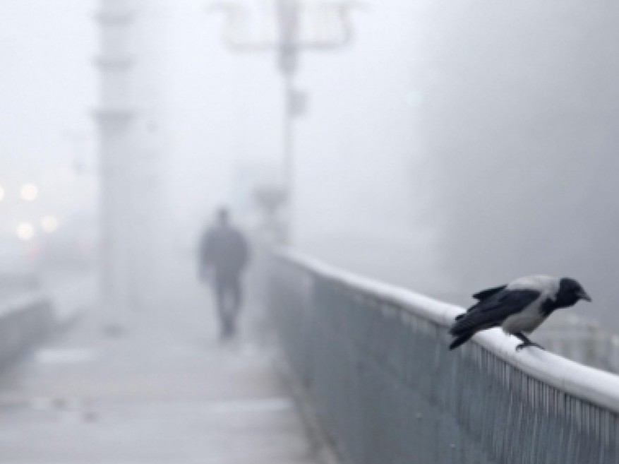 Elimizdiń basym bóligin tuman basady