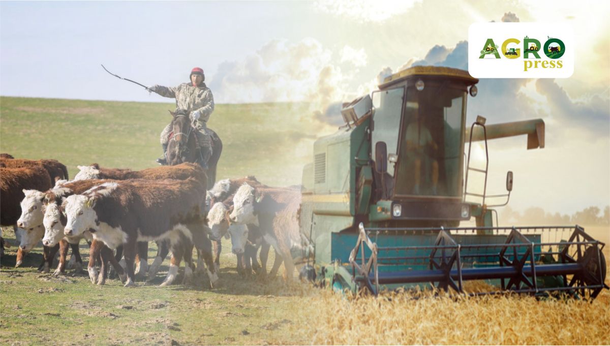 Aýyl sharýashylyq salasynda mıllıonnan astam adam jumyspen qamtylǵan - AShM