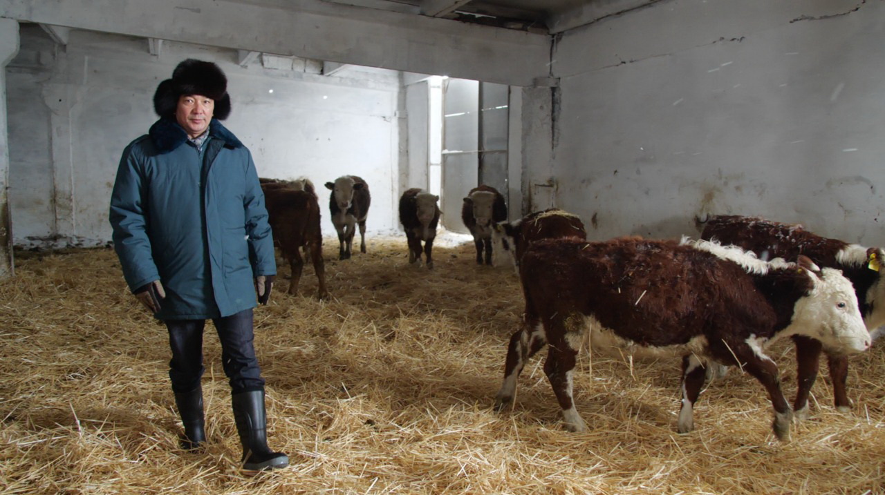 Qoljetimdi qarjy aýyl sharýashylyǵyn damytýǵa zor úles qosady