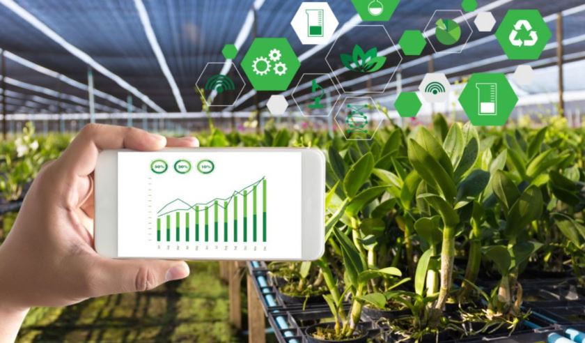 2019 jyly 16 sandyq sharýa qojalyq jáne 6 smart-ferma quryldy