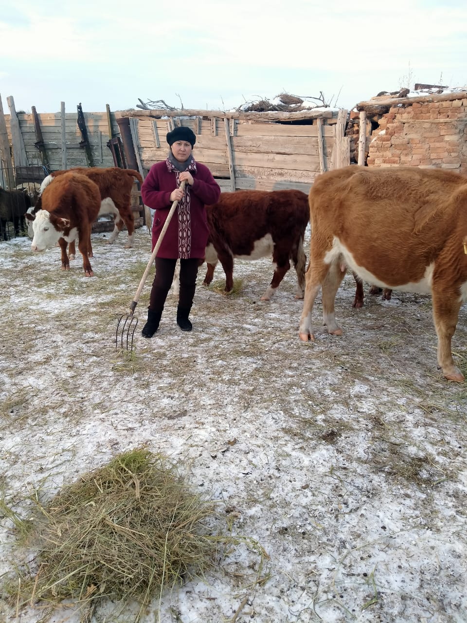 Aıagózde 175 adam tegin grantqa ıe boldy