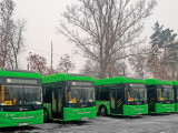60 ekologııalyq avtobýs Almaty kóshelerine shyqty