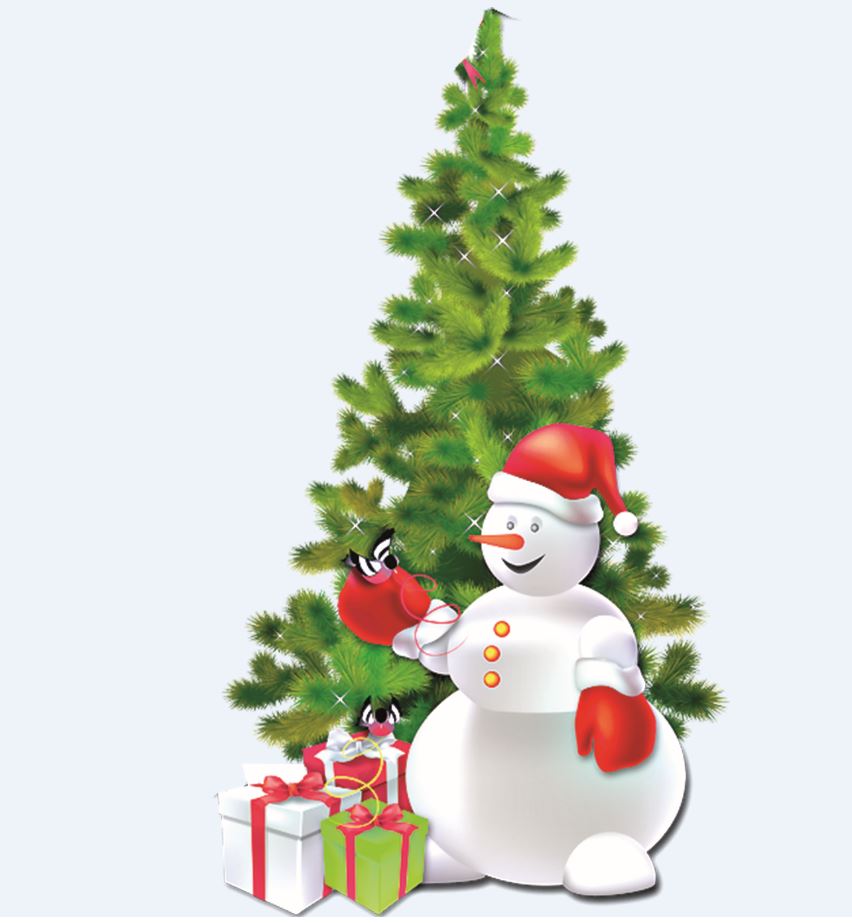 Shyrsha janyndaǵy jymıys