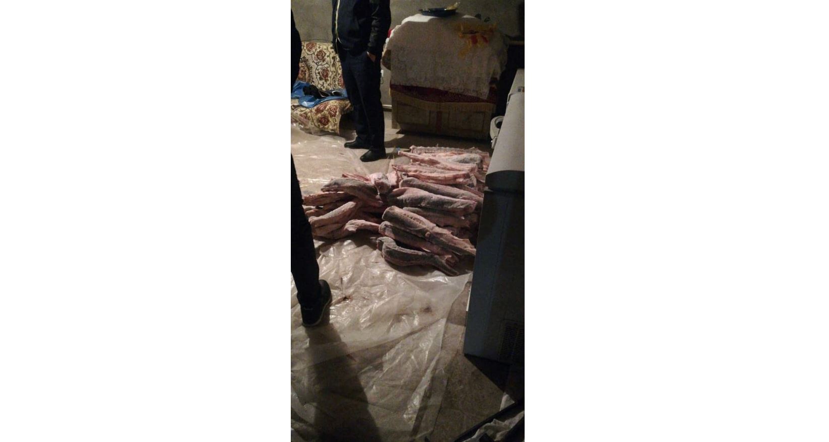 Jańaózende páterden qyzyl balyq tárkilendi