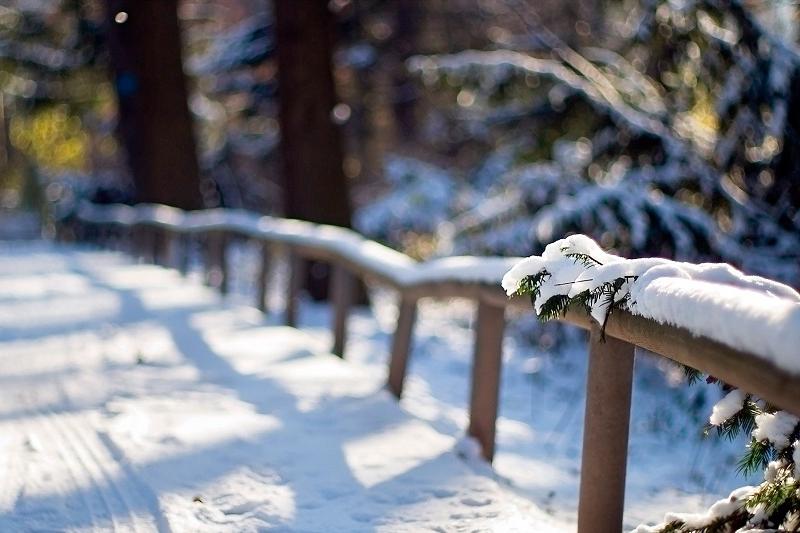 Aldaǵy táýlikterde aýa raıy qandaı bolady?