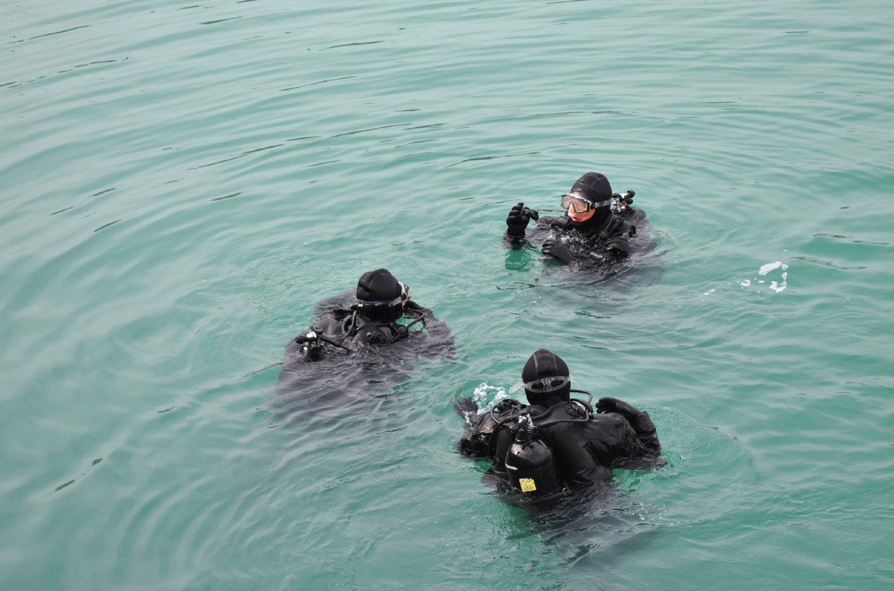 Áskerı súńgýirler qysqy súńgýdi oryndaıdy