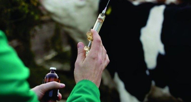 Janýarlardyń asa qaýipti 19 aýrýyna qarsy ekpe jasalady