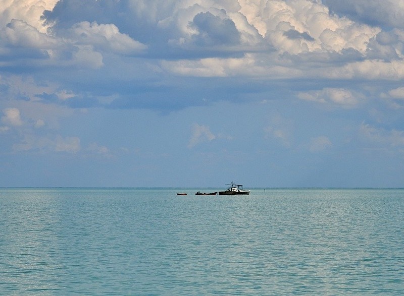 Balqash: baq pen sor