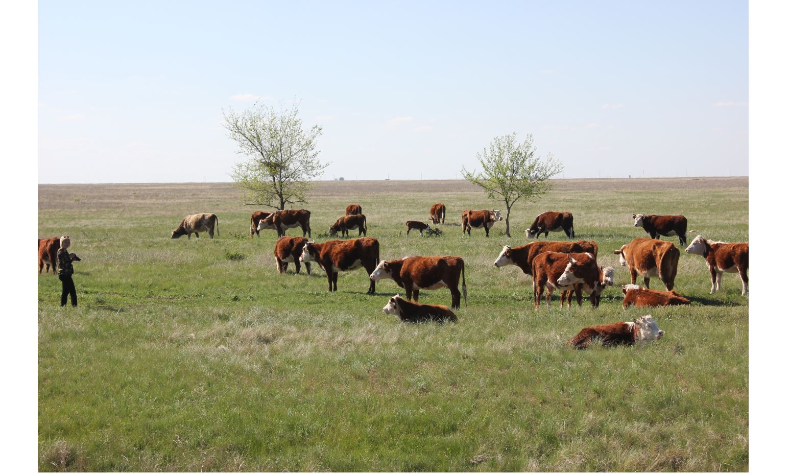 Jánibek aýdanynda et óndirý artty