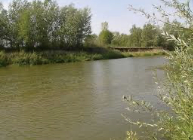 Elektiń sory – alty valentti hrom