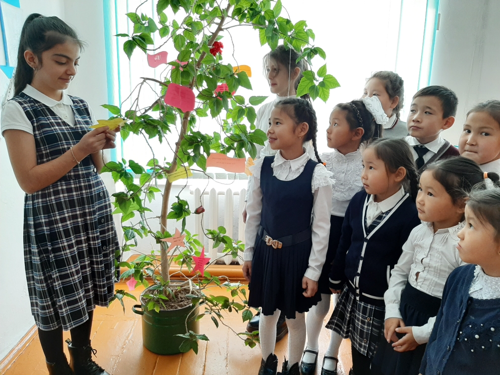 Naqyl sózderge toly aǵash