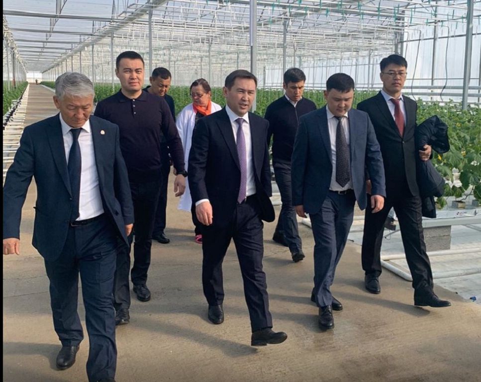 Shymkent: Aýyl sharýashylyǵy salasyna basa nazar aýdarady