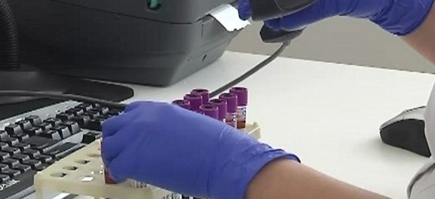 Eki qytaı azamaty tekserilýde