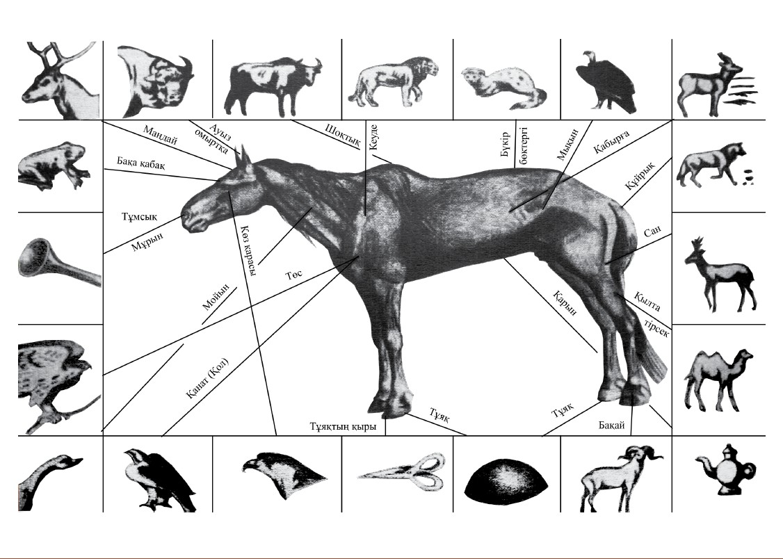 Qazaqtyń jylqytaný óneri
