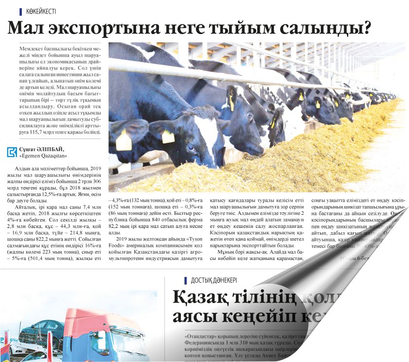 Tiri maldy satý – tıimsiz