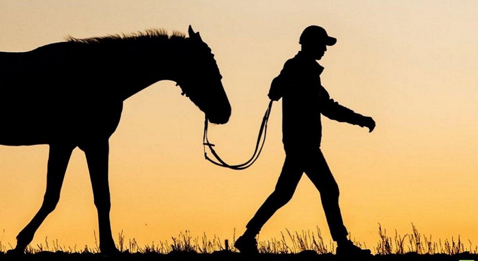 Mal urlyǵyna jergilikti ákimdik, mal dárigerleri de jaýapty