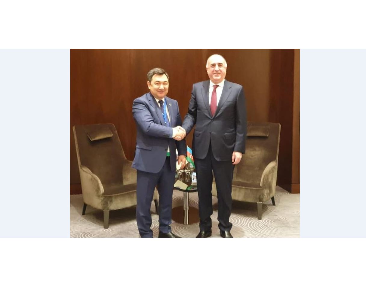 Túrki akademııasynyń prezıdenti Elmar Mamadıarovpen kezdesti