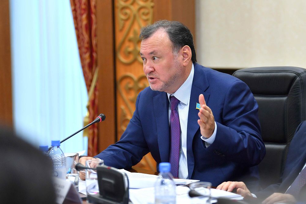 D.Nazarbaeva: Elektr energetıkasyn basqarýdaǵy qatelikter ár otbasyna shyǵyn bolyp otyr